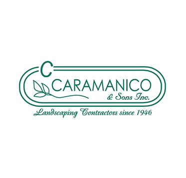 Caraminico & Sons Inc.